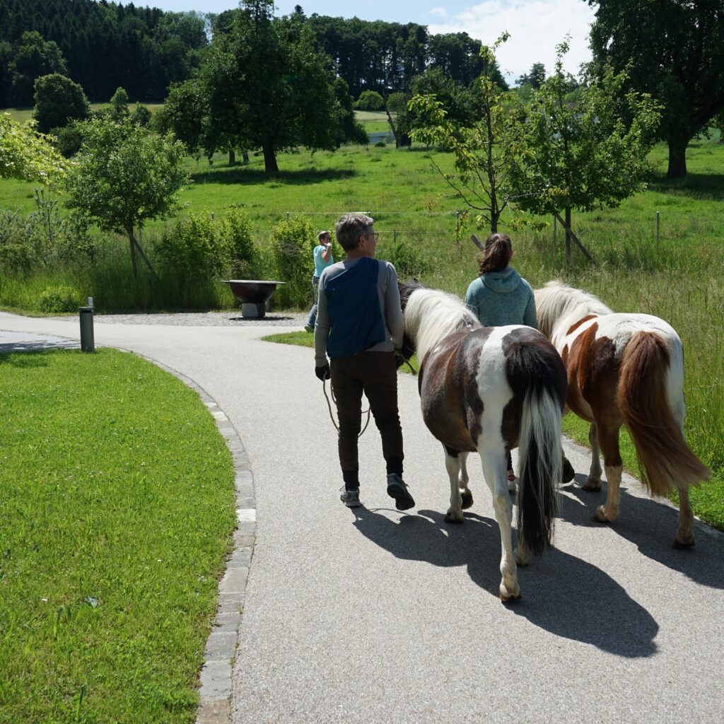 Gartenspaziergang min