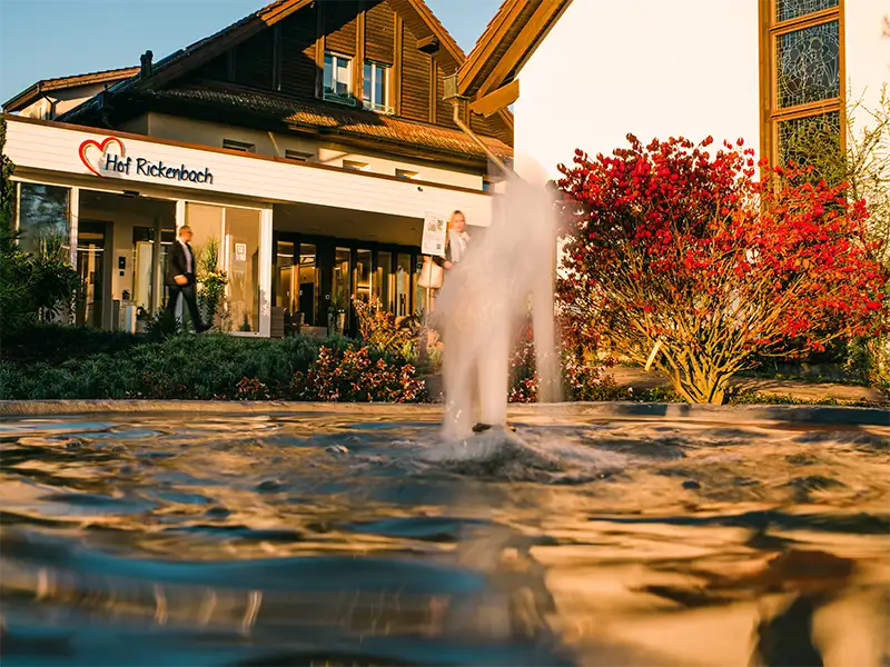 Hof Rickenbach Eingang Brunnen