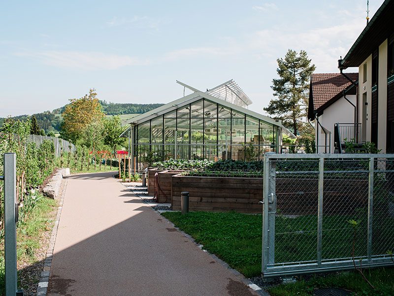 Hof Rickenbach Garten Treibhaus