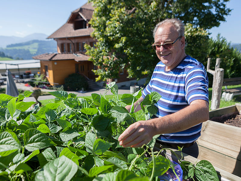 hof rickenbach spendenzwecke garten planzen