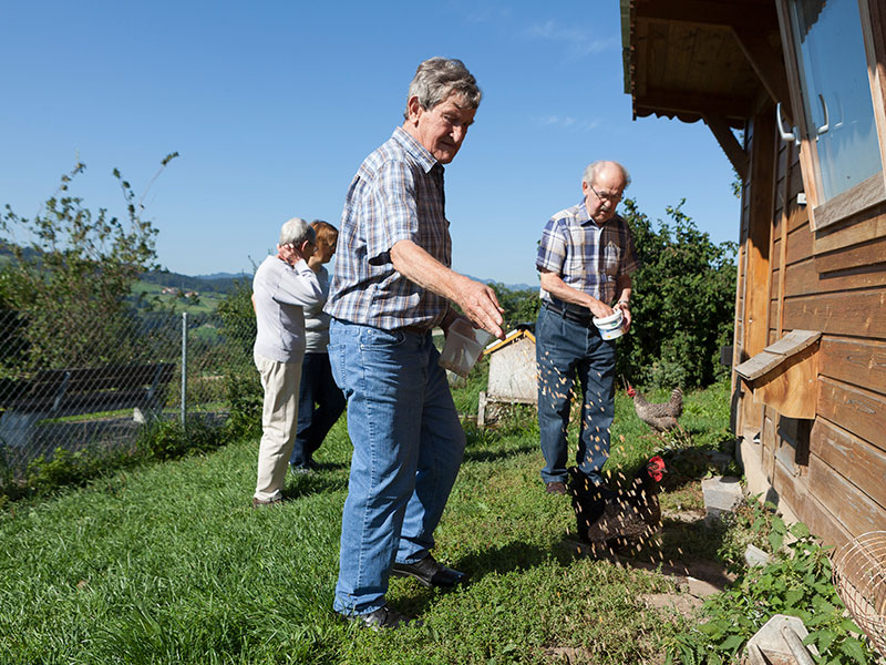 hof rickenbach spendenzwecke tiere